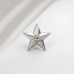 Star Silver Uniform Badge: Plain Model Star Silver Badge (1 Pair) - Image 1