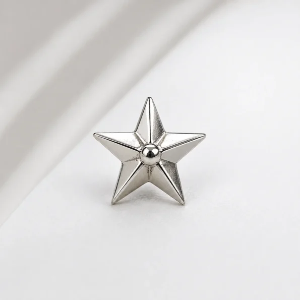 Star Silver Uniform Badge: Plain Model Star Silver Badge (1 Pair) - Image 1